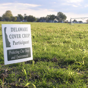 Funding for Clean Water Delaware